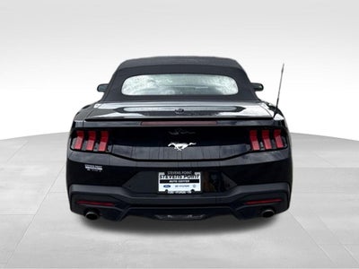 2025 Ford Mustang EcoBoost Premium