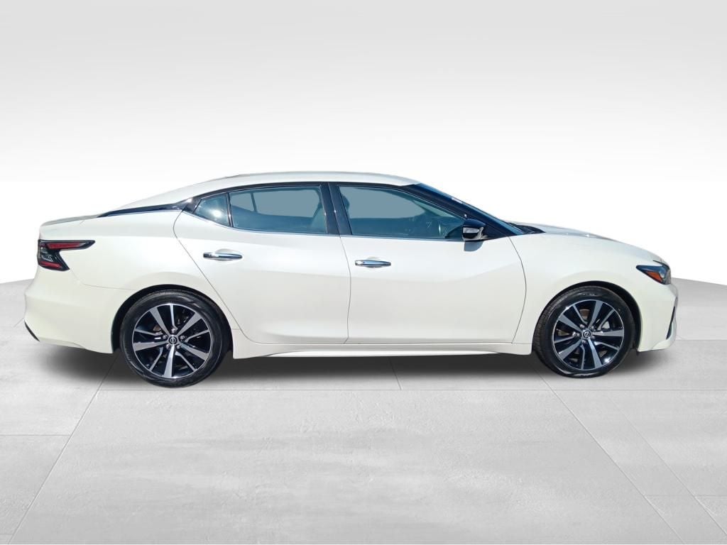 2023 Nissan Maxima SV